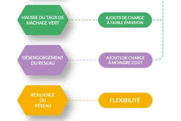 Infographie qui présente les avantages du minage de Bitcoin sur les objectifs de décarbonation